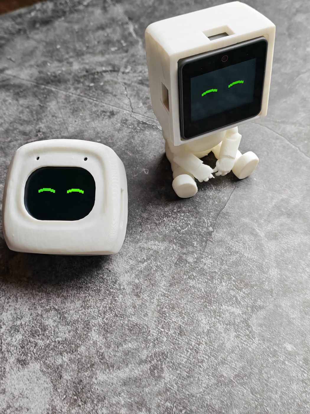 Two white BIPO prototypes